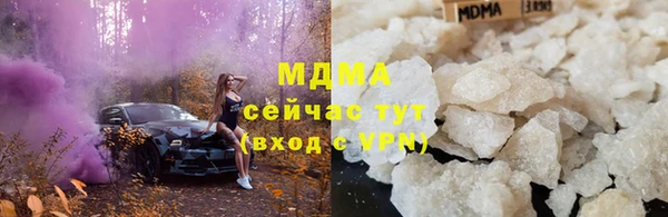хмурый Аркадак