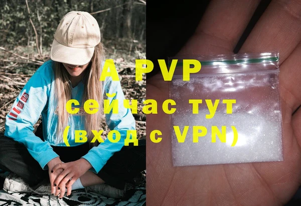 хмурый Аркадак