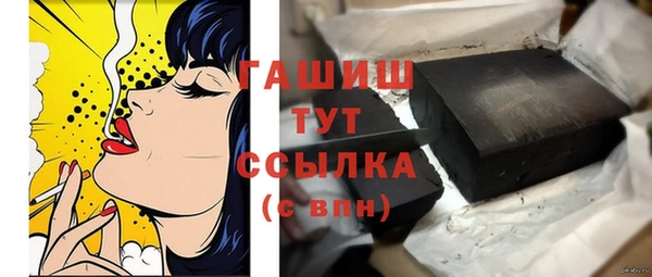 хмурый Аркадак