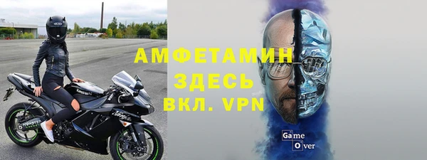 хмурый Аркадак