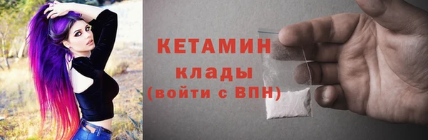 хмурый Аркадак