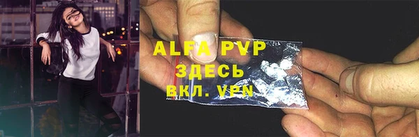 хмурый Аркадак
