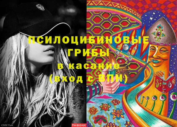 хмурый Аркадак
