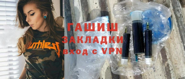 хмурый Аркадак