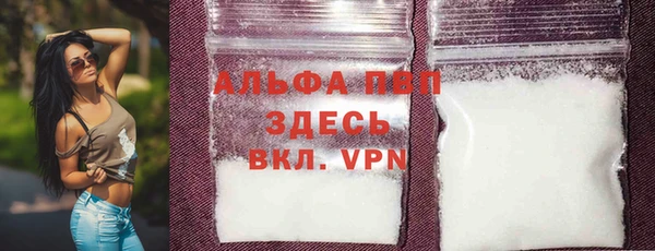 хмурый Аркадак