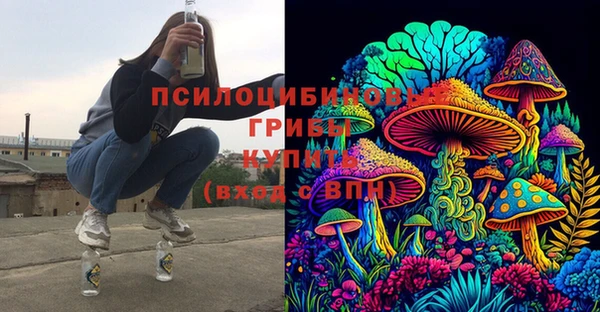 хмурый Аркадак