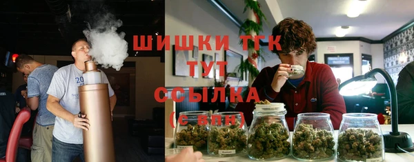 дмт Армянск